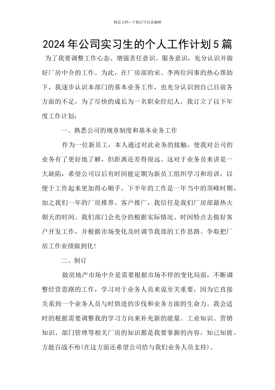 2024年公司实习生的个人工作计划5篇_第1页