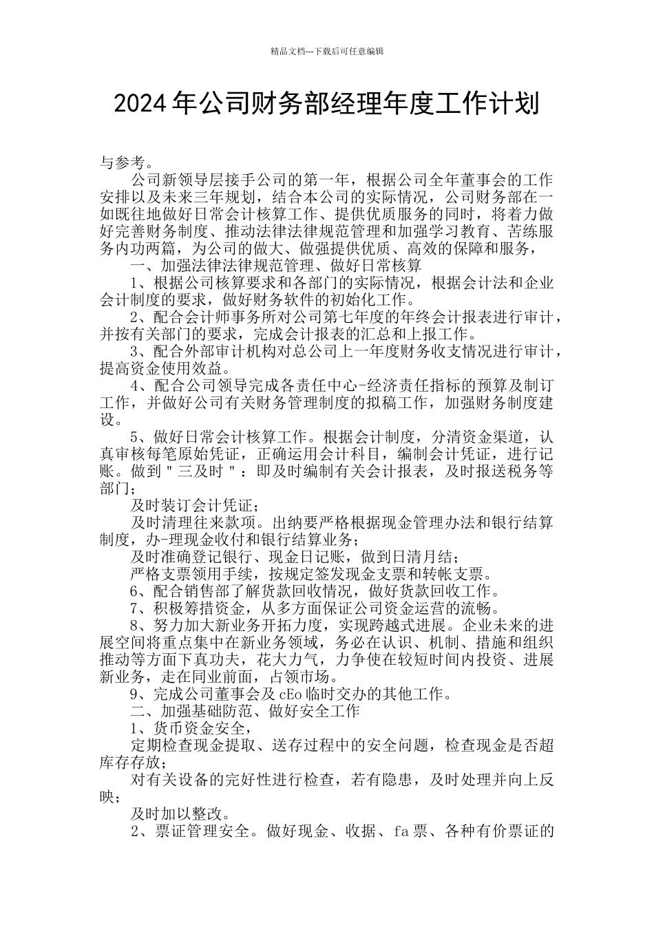 2024年公司财务部经理年度工作计划_第1页