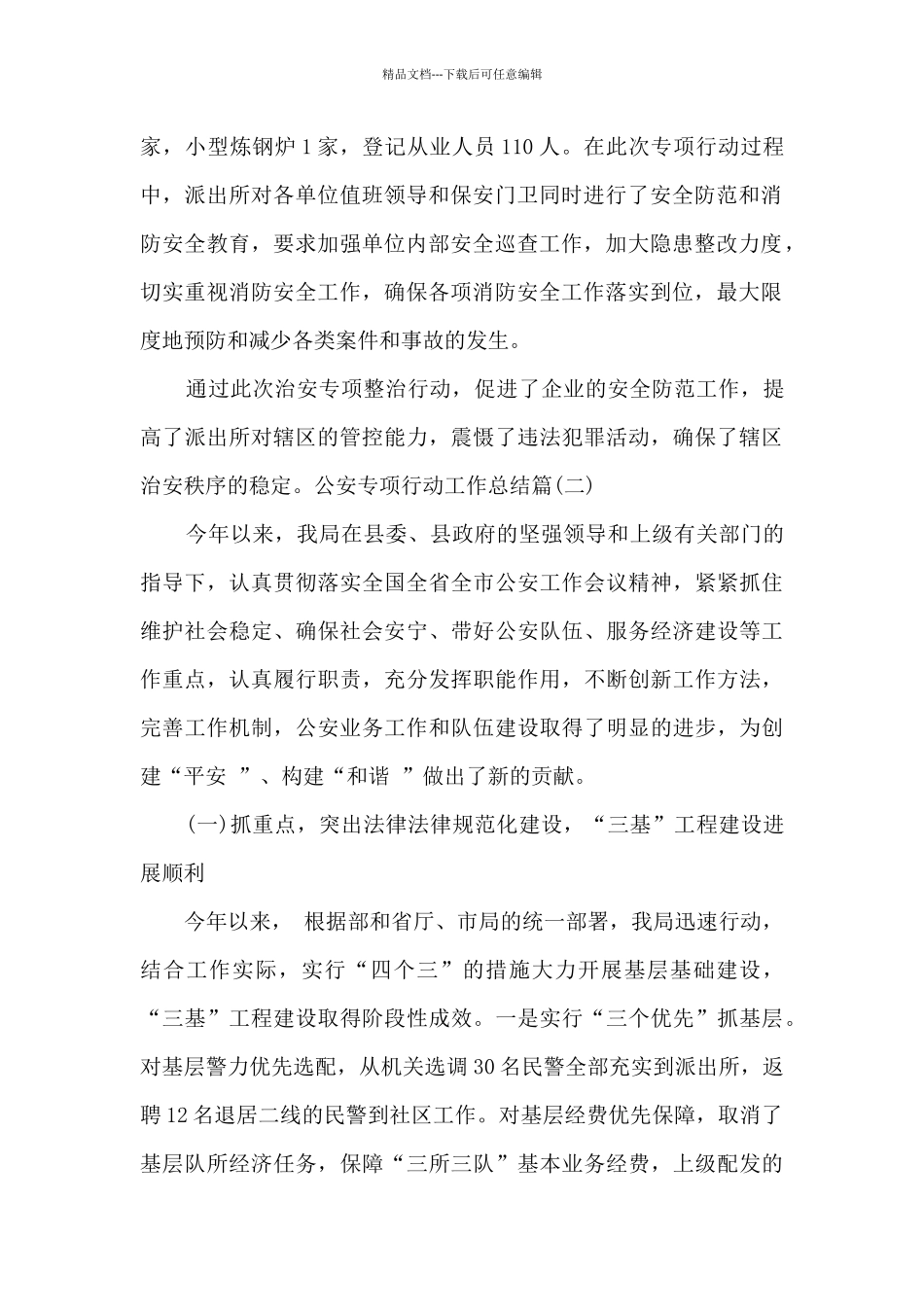 2024年公安专项行动工作总结_第2页