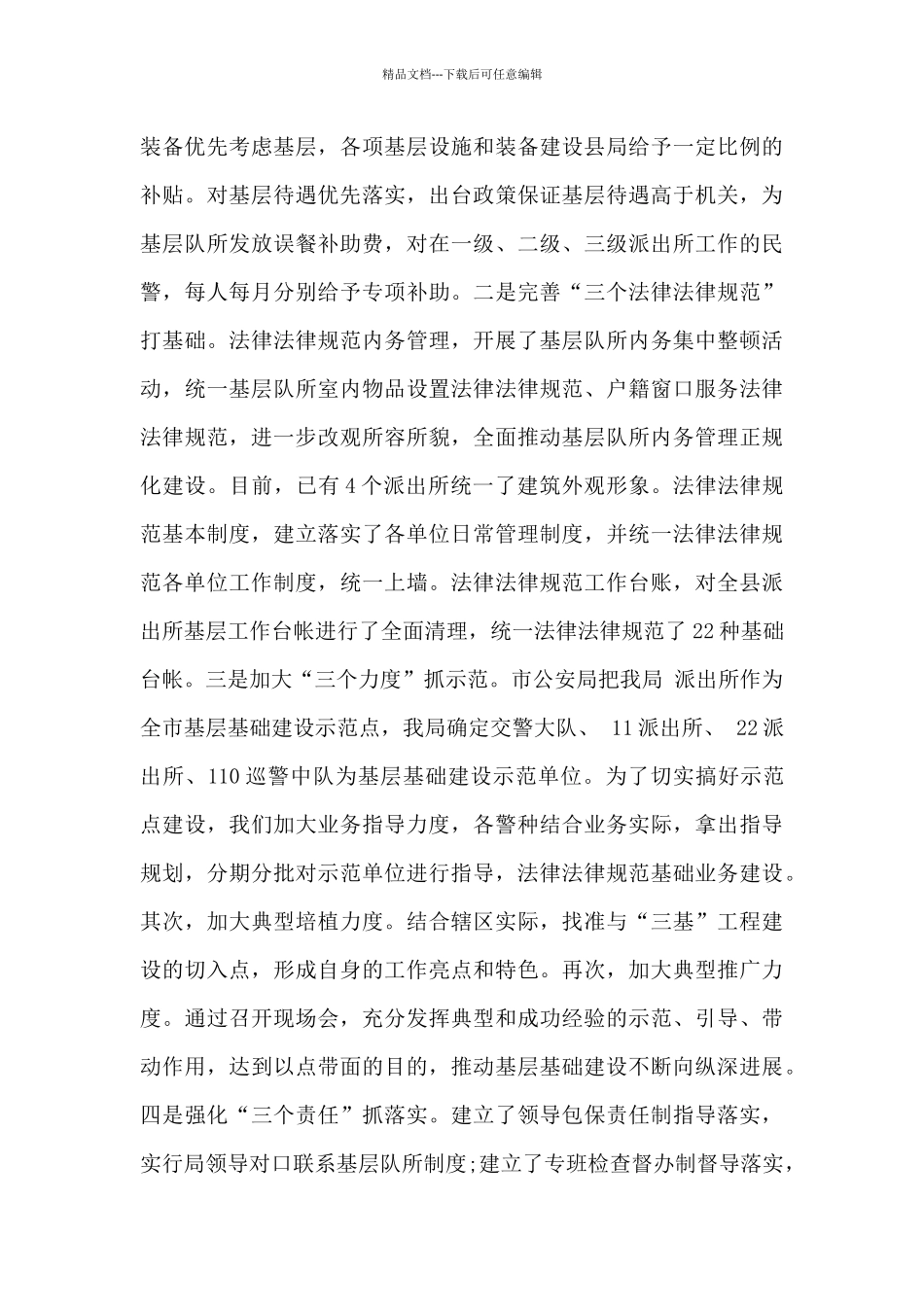 2024年公安专项行动工作总结_第3页