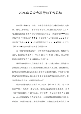 2024年公安专项行动工作总结