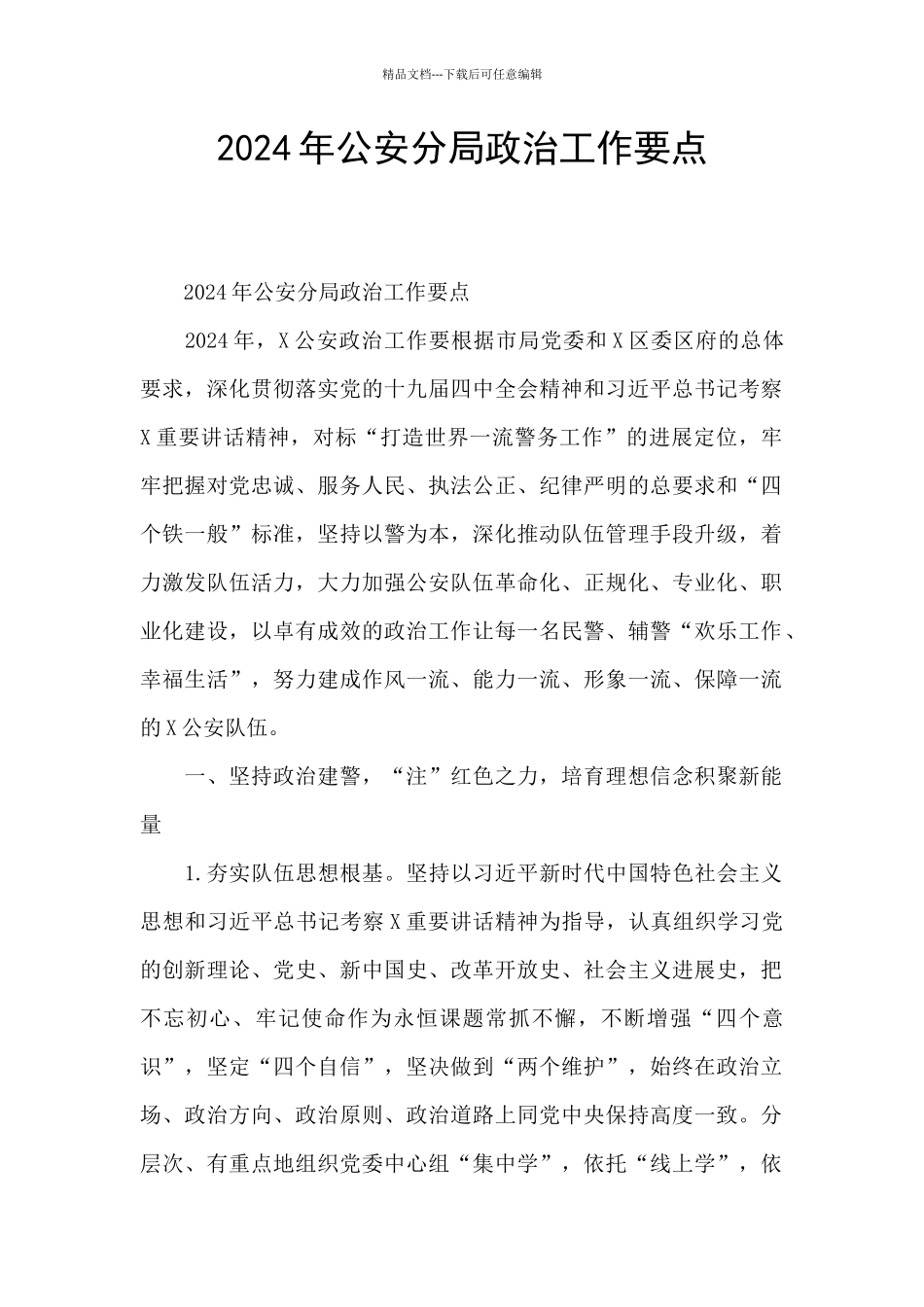 2024年公安分局政治工作要点_第1页