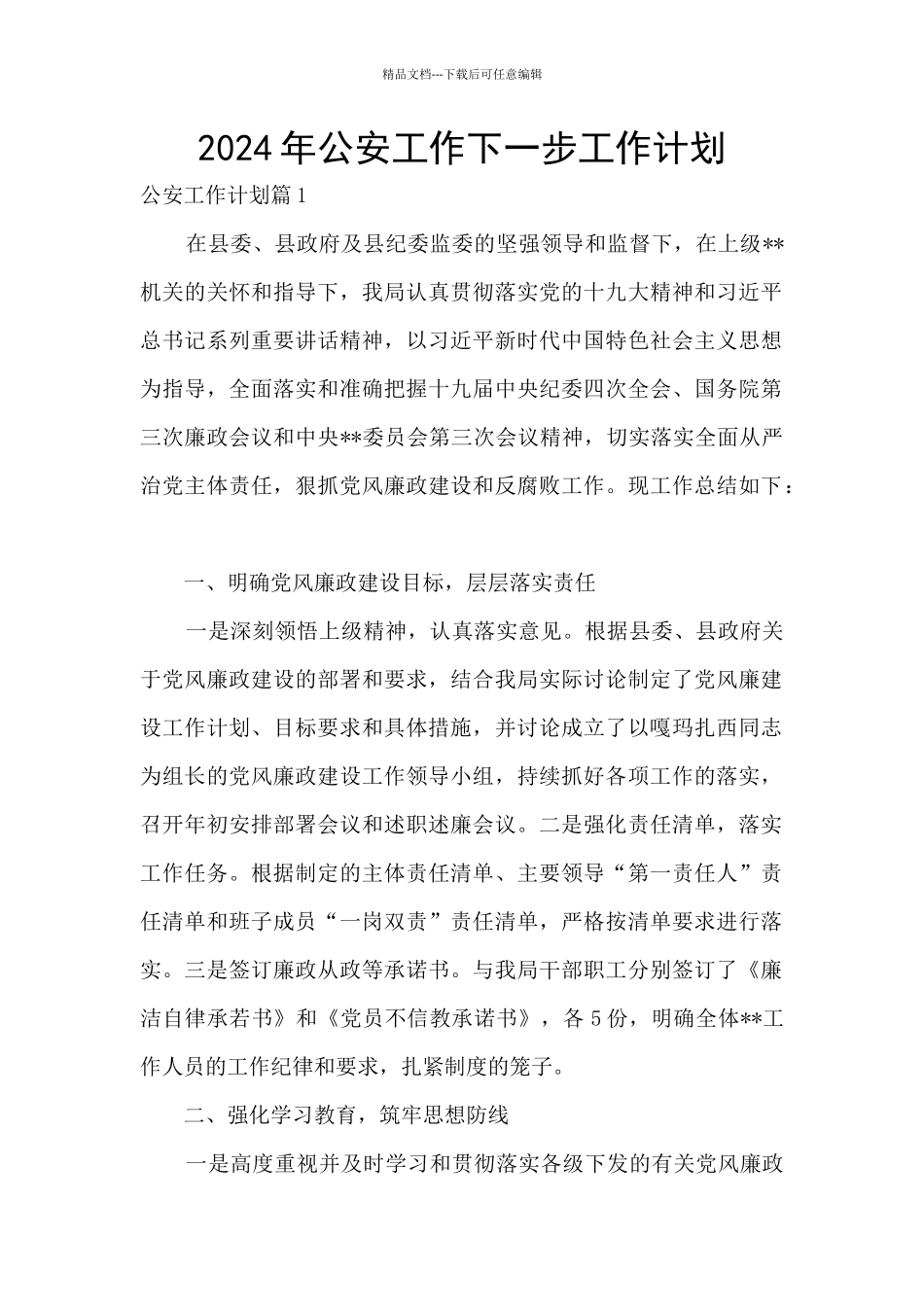 2024年公安工作下一步工作计划_第1页