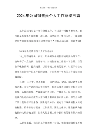 2024年公司销售员个人工作总结五篇
