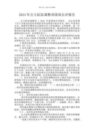 2024年公立医院调整项绩效自评报告