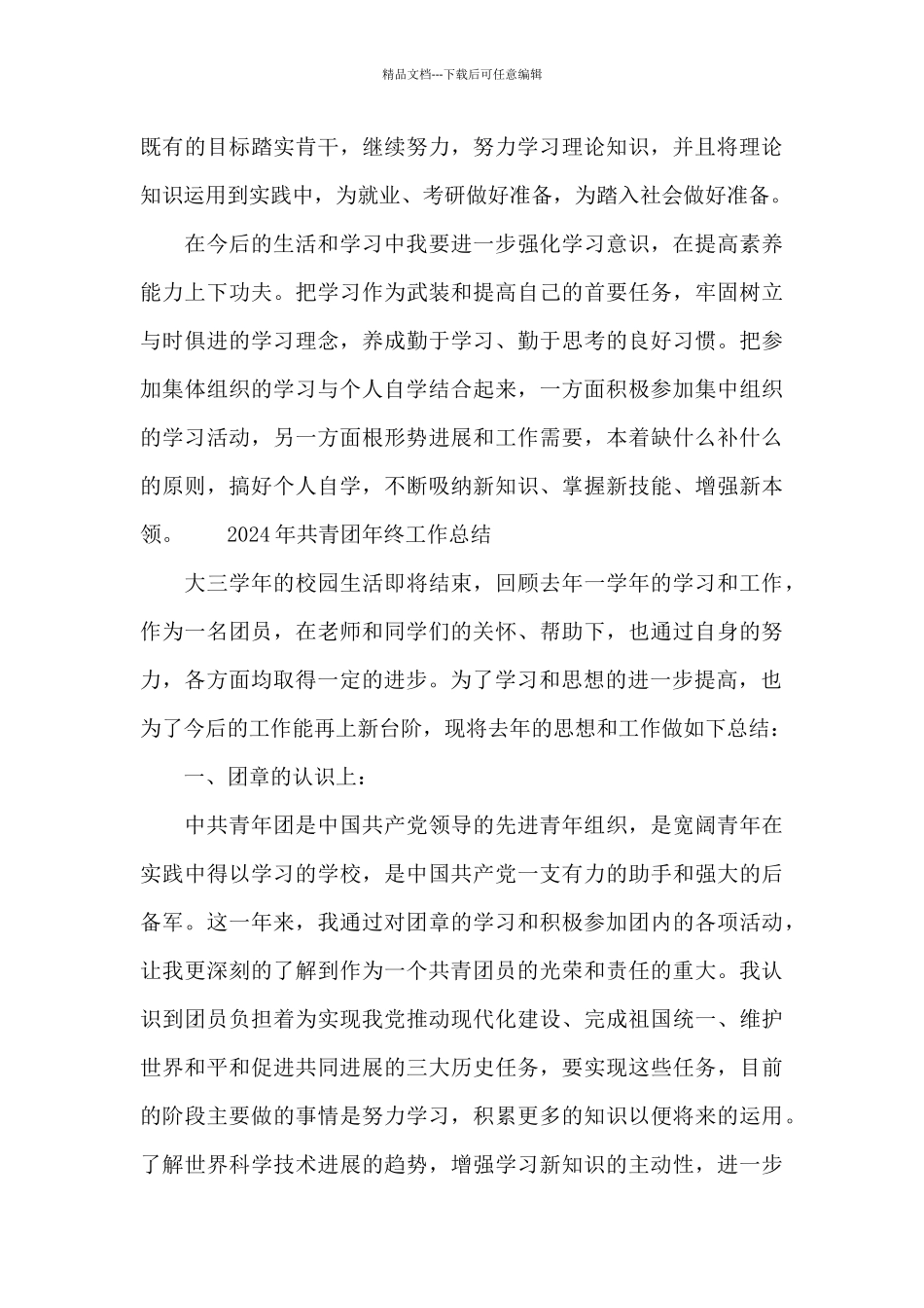 2024年共青团年终工作总结_第3页