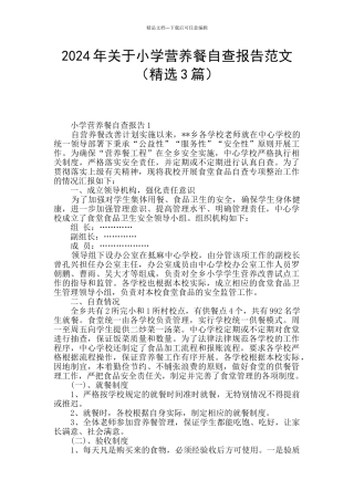 2024年关于小学营养餐自查报告范文