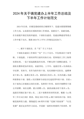 2024年关于镇党建办上半年工作总结及下半年工作计划范文