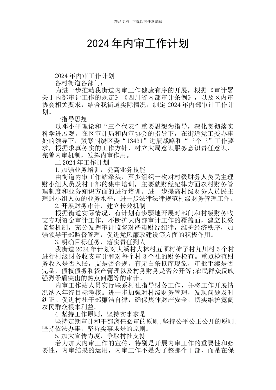 2024年内审工作计划_第1页