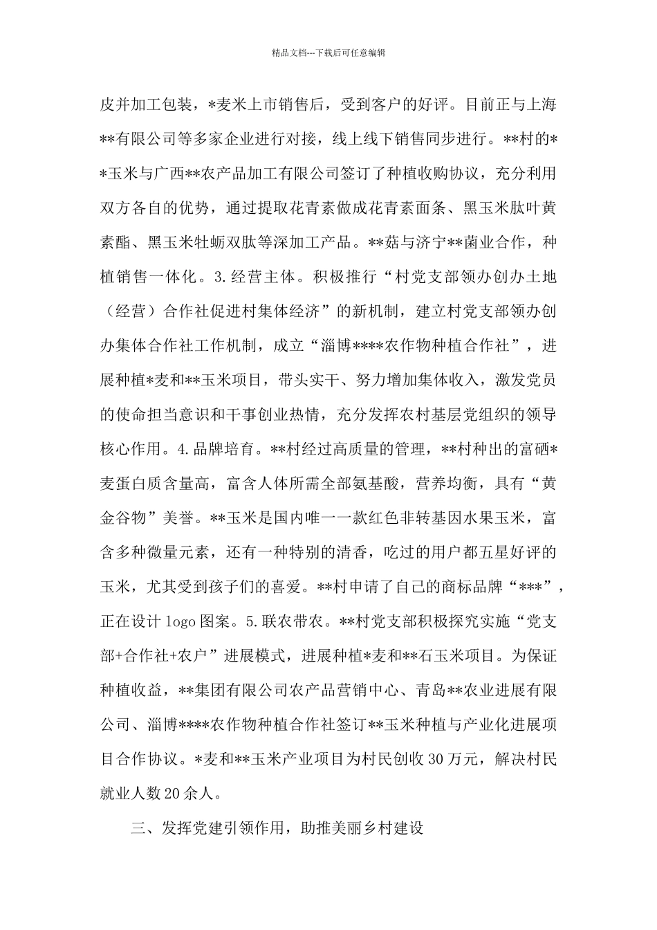 2024年农村党建工作典型材料_第3页