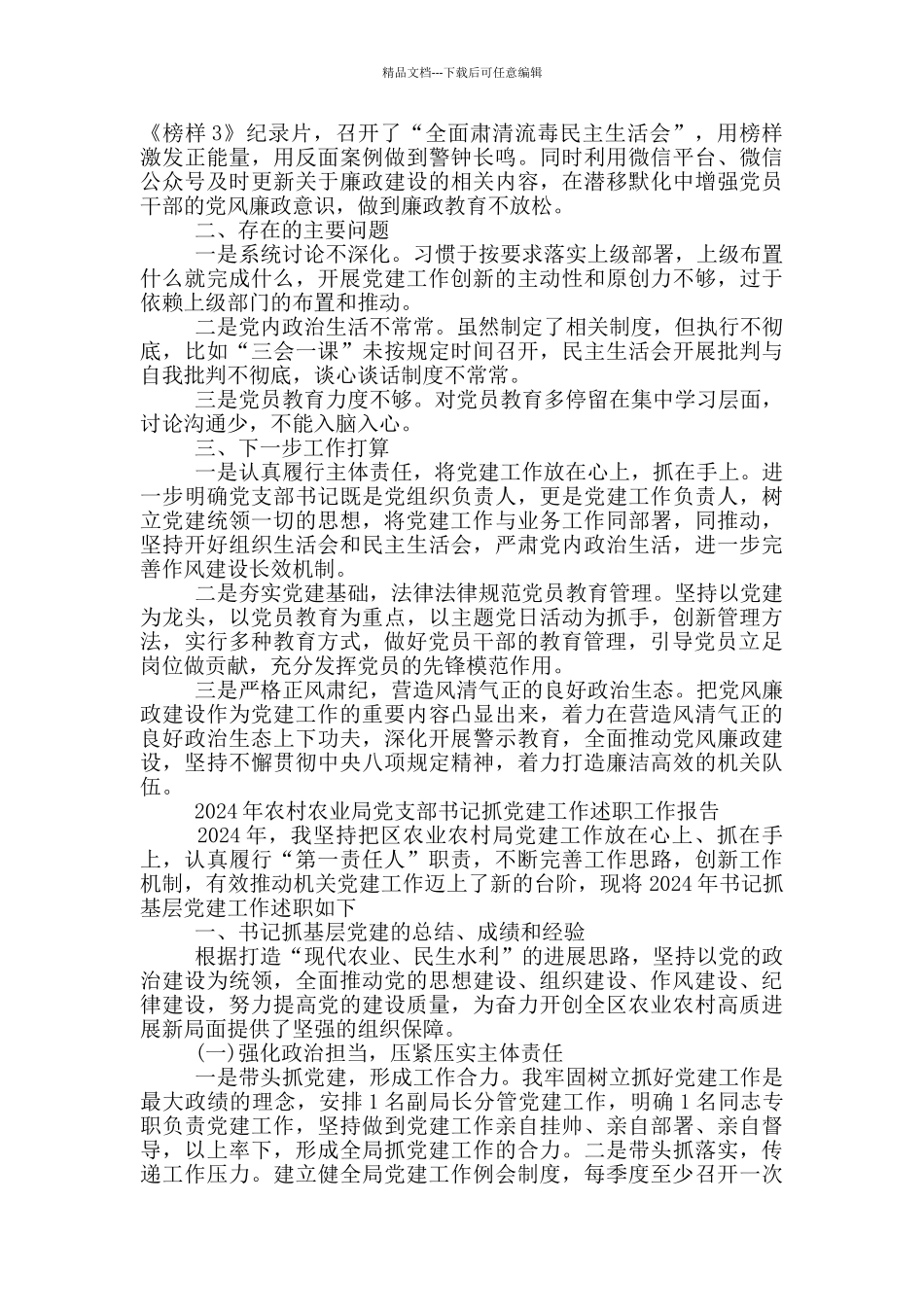 2024年农村农业局党支部书记抓党建工作述职工作报告_第2页