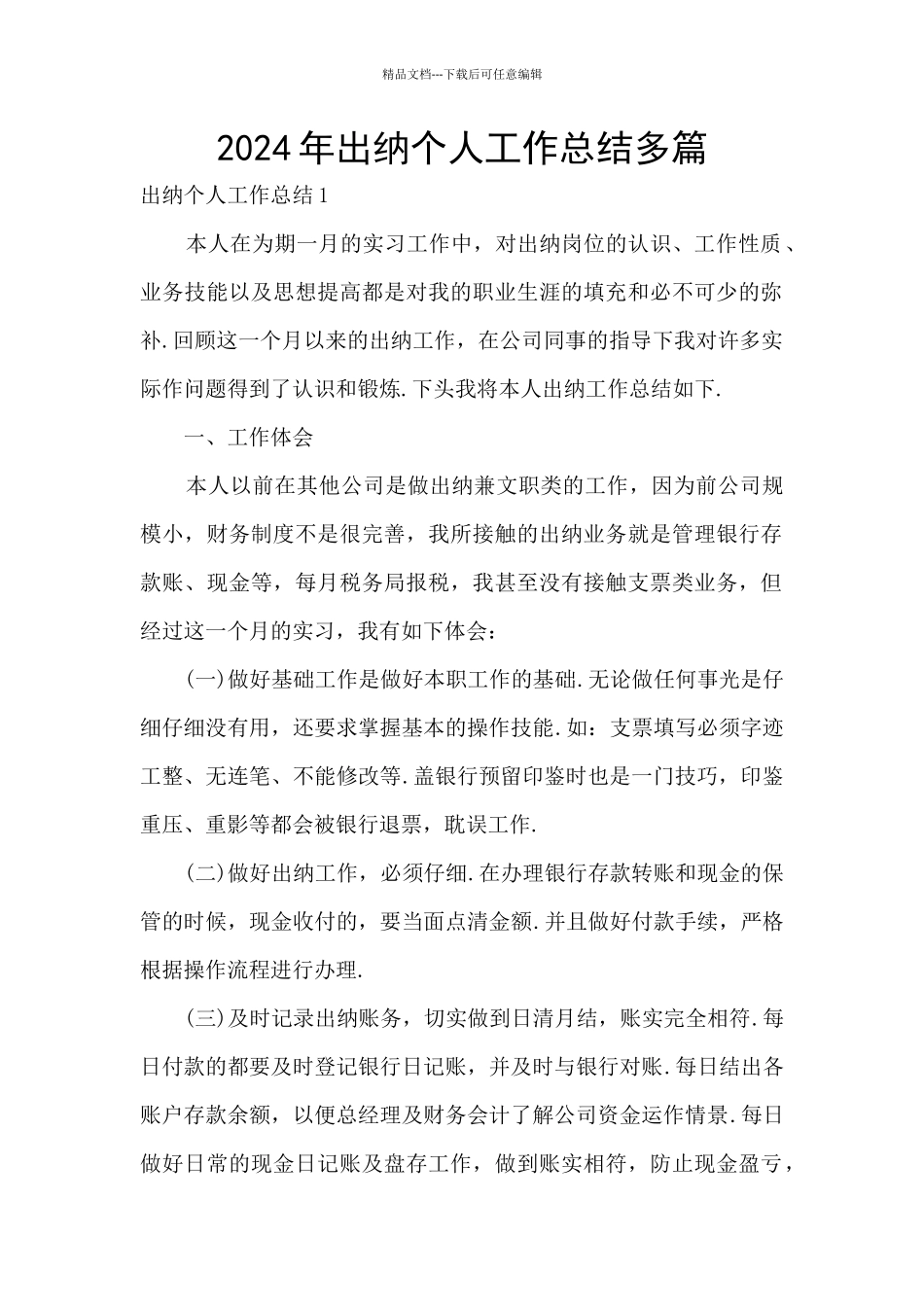 2024年出纳个人工作总结多篇_第1页