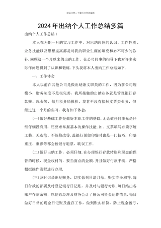 2024年出纳个人工作总结多篇