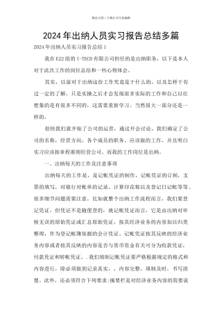 2024年出纳人员实习报告总结多篇