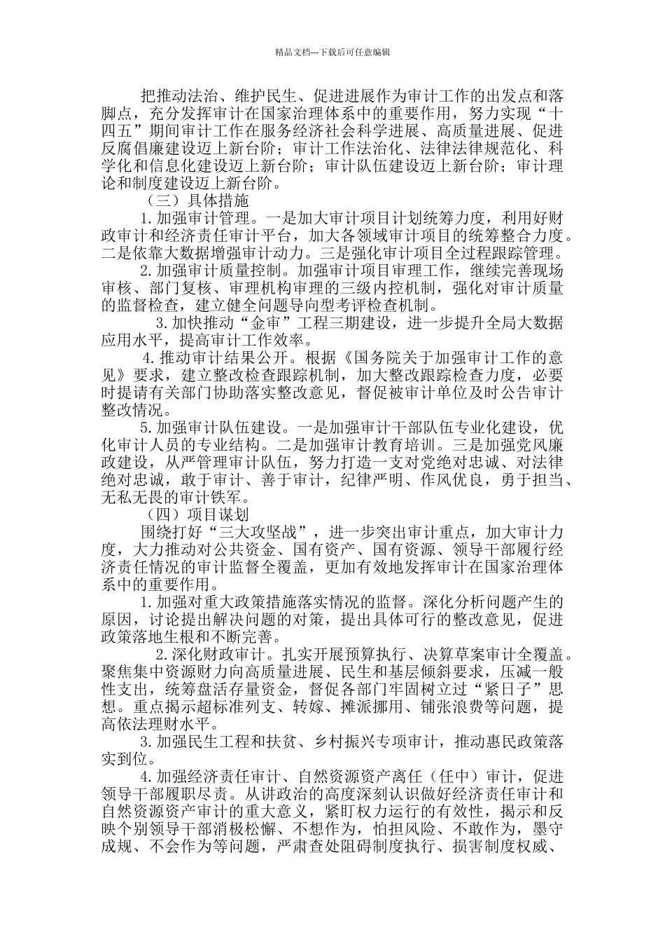 2024年区审计局“十四五”工作规划稿和区人保局“十四五”工作规划思路例文_第3页