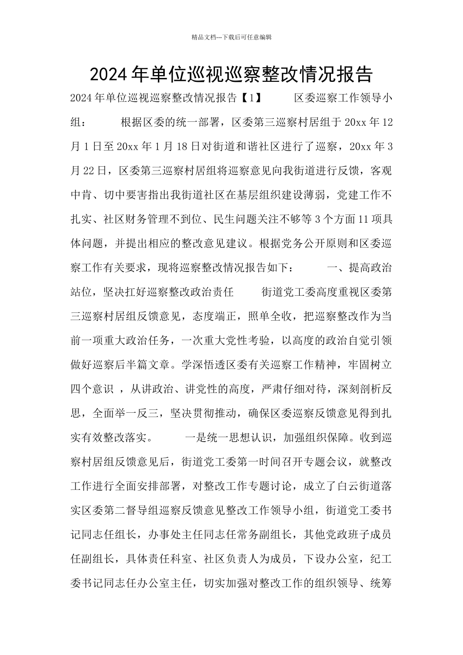 2024年单位巡视巡察整改情况报告_第1页