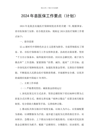 2024年县医保工作要点