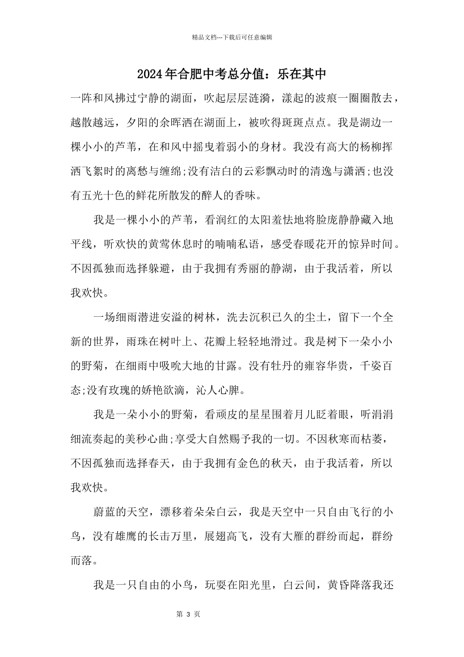 2024年合肥中考满分：乐在其中_第1页