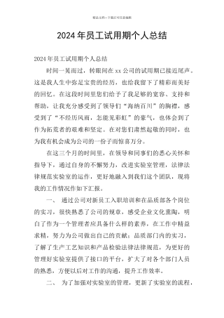 2024年员工试用期个人总结