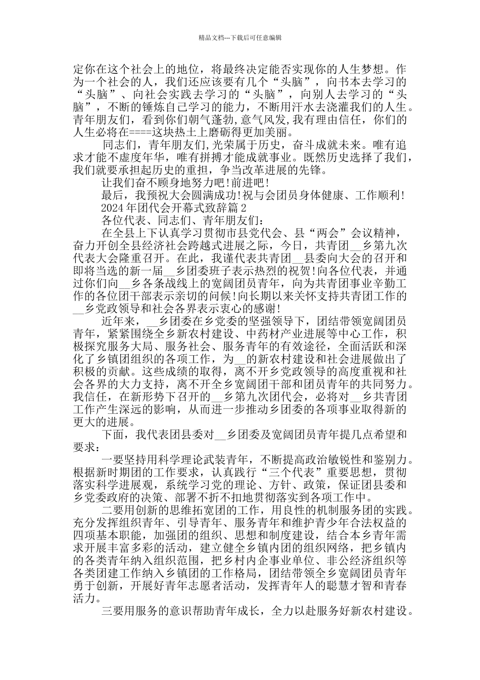 2024年团代会开幕式致辞_第3页