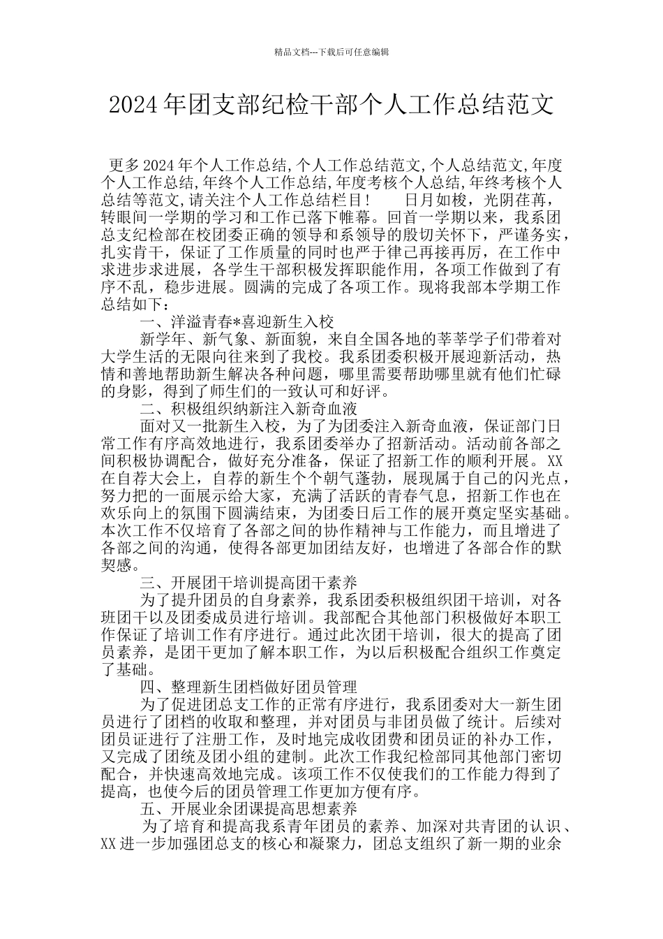 2024年团支部纪检干部个人工作总结范文_第1页