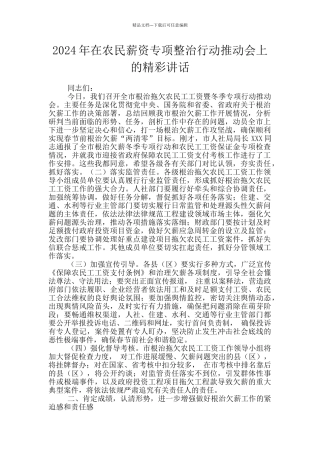 2024年在农民薪资专项整治行动推进会上的精彩讲话