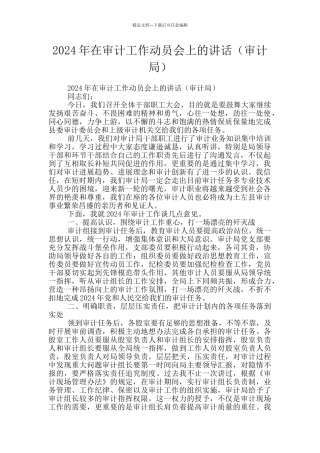 2024年在审计工作动员会上的讲话