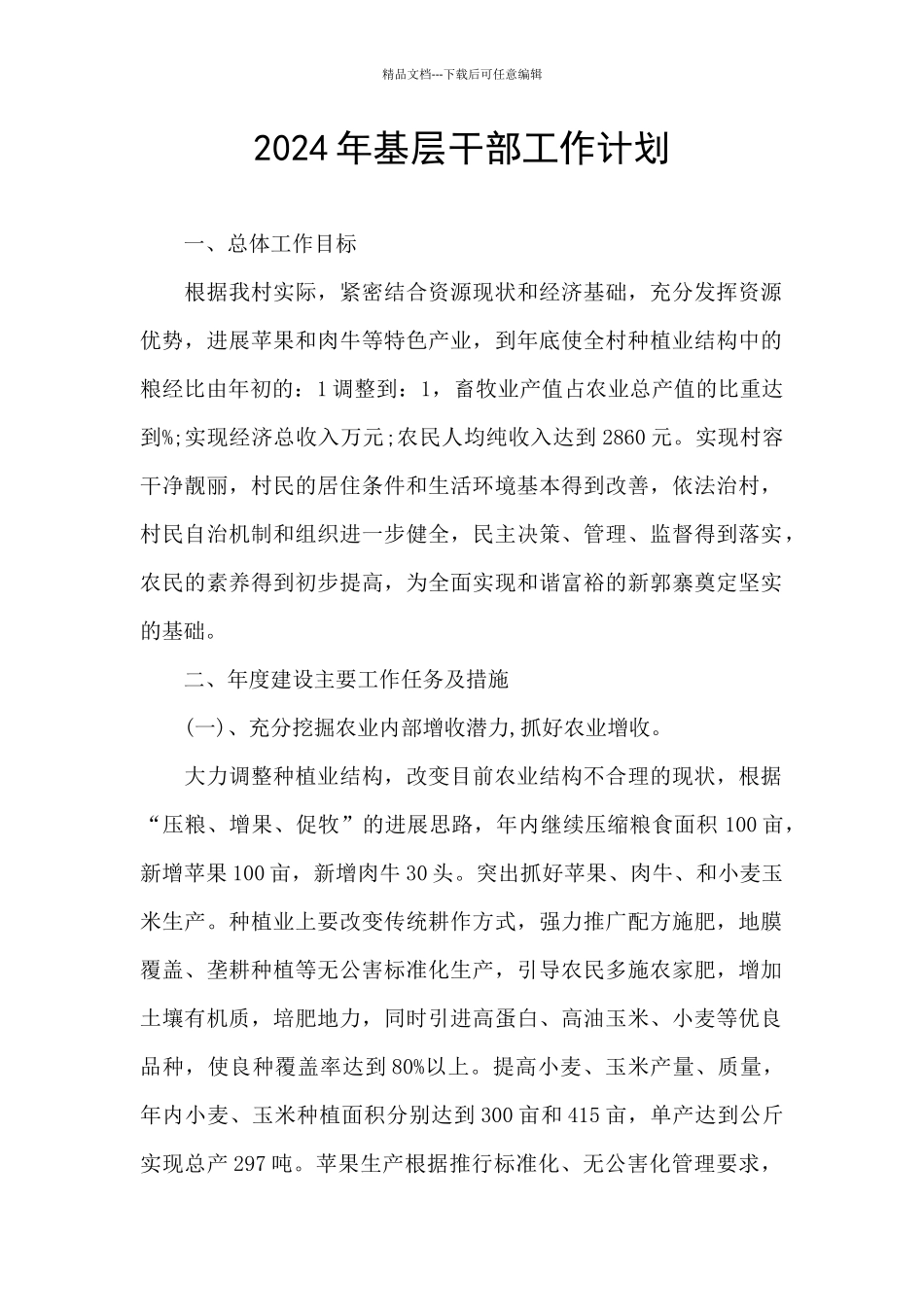 2024年基层干部工作计划_第1页