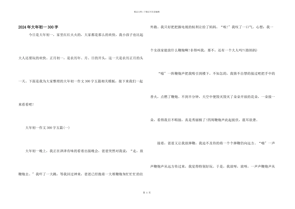 2024年大年初一300字_第1页