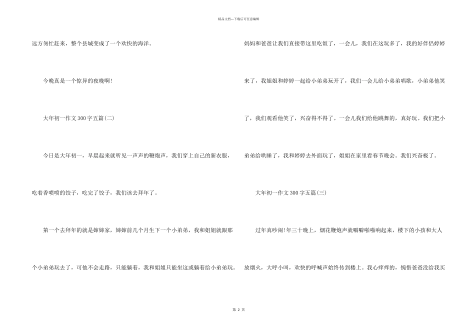2024年大年初一300字_第2页