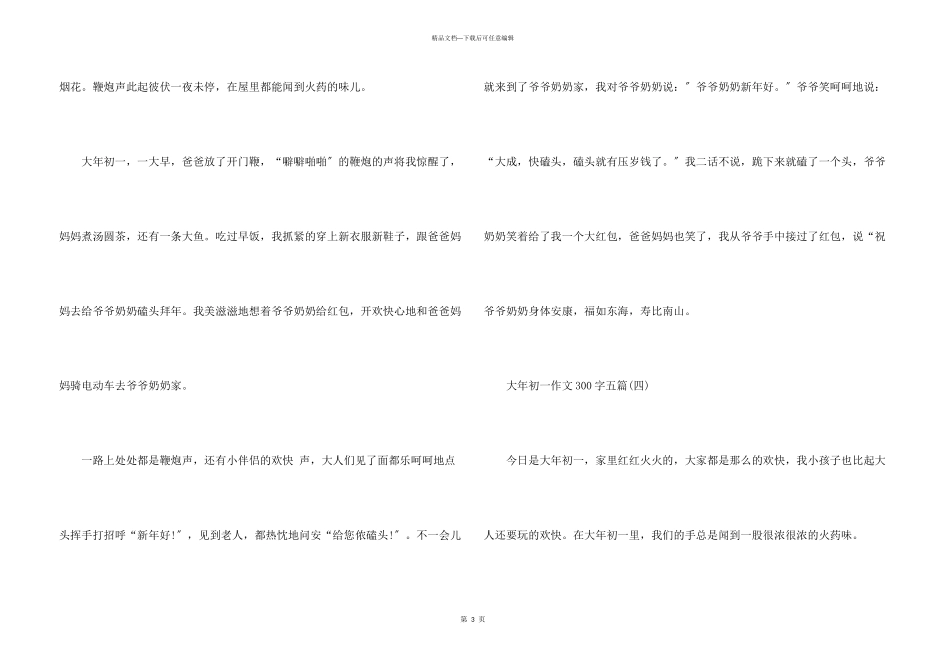 2024年大年初一300字_第3页