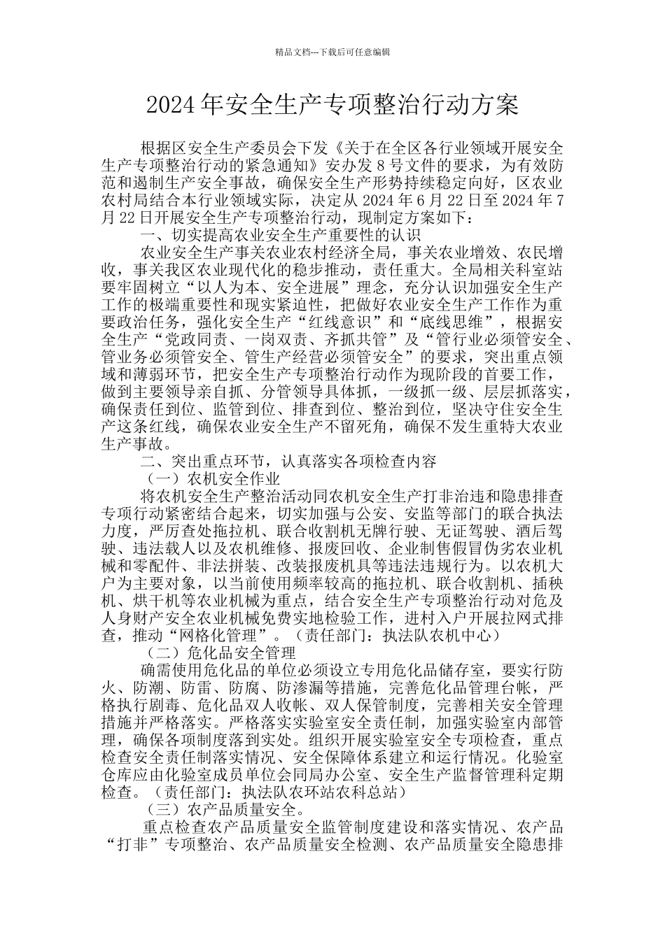 2024年安全生产专项整治行动方案_第1页