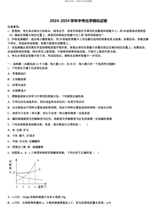 2024年安徽省池州市第十中学中考化学押题试卷含解析