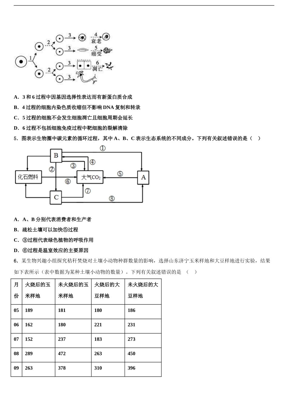 2024年安徽省淮北市濉溪县高三第三次模拟考试生物试卷含解析_第2页