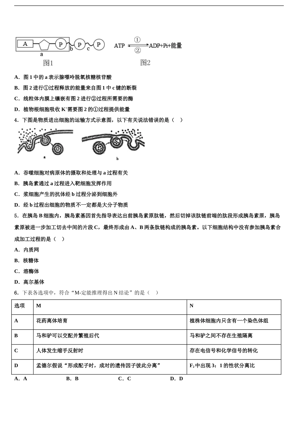 2024年安徽省淮南市第四中学高三第二次模拟考试生物试卷含解析_第2页