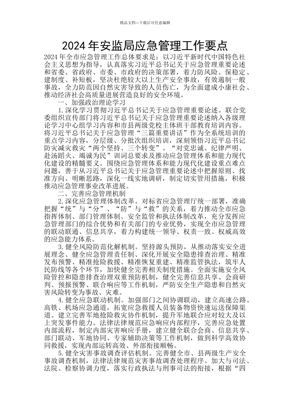 2024年安监局应急管理工作要点_第1页
