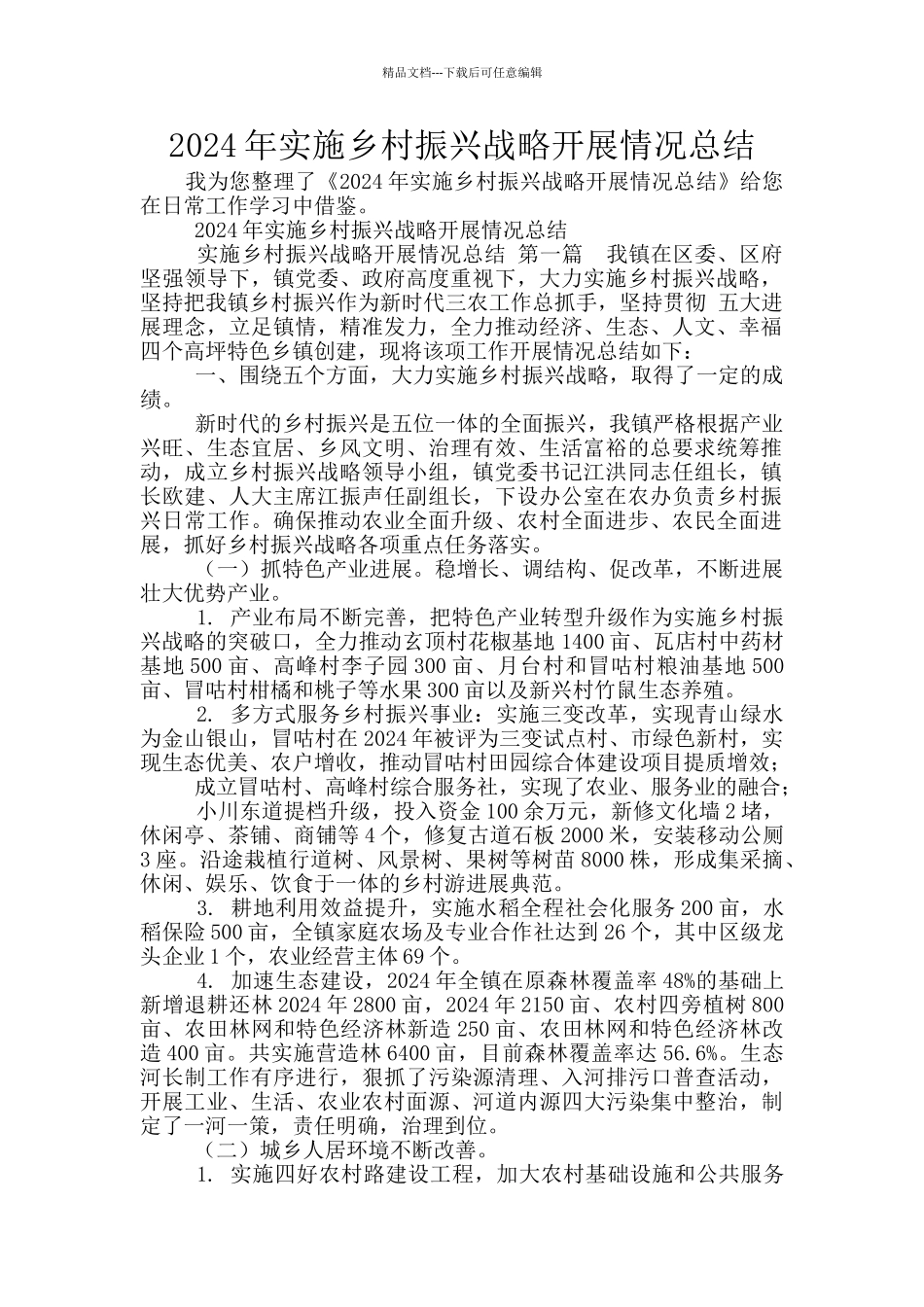 2024年实施乡村振兴战略开展情况总结_第1页