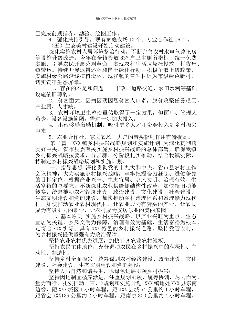 2024年实施乡村振兴战略开展情况总结_第3页