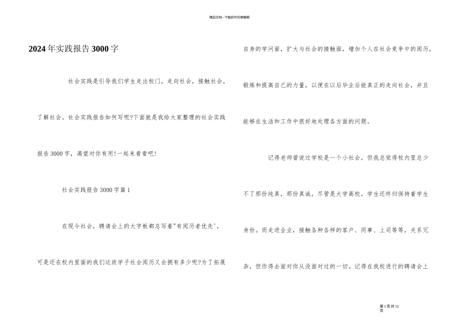 2024年实践报告3000字_第1页