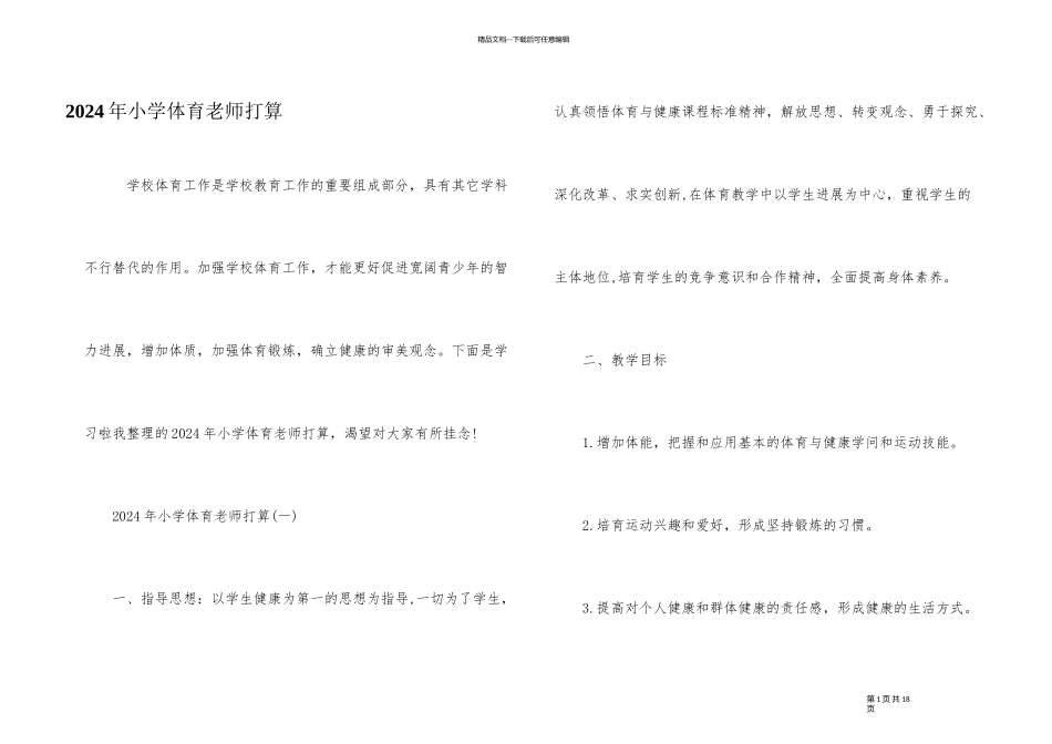 2024年小学体育教师计划_第1页