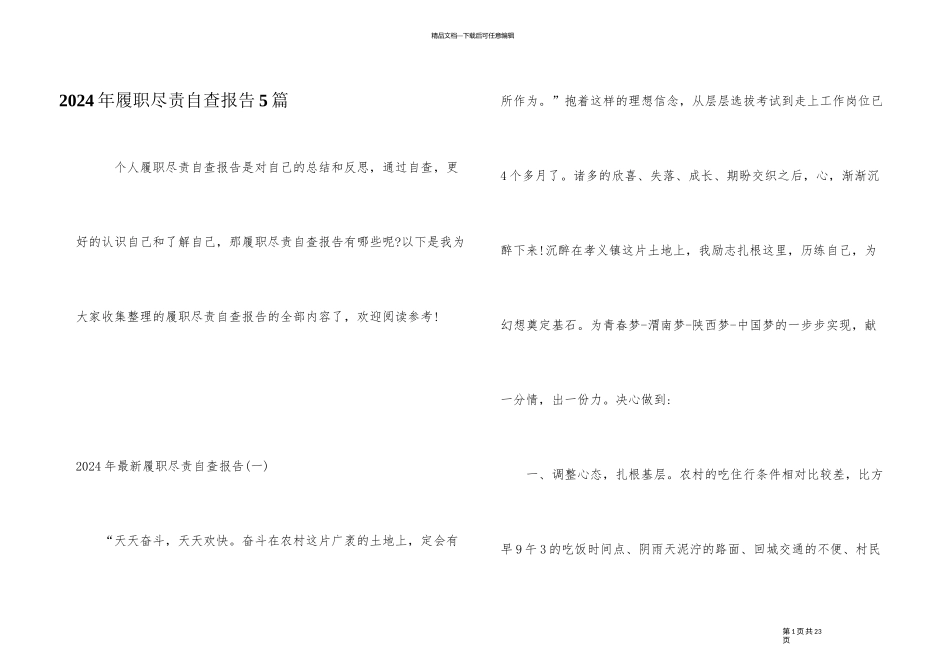 2024年履职尽责自查报告5篇_第1页
