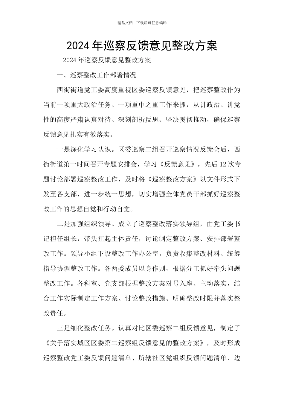 2024年巡察反馈意见整改方案_第1页