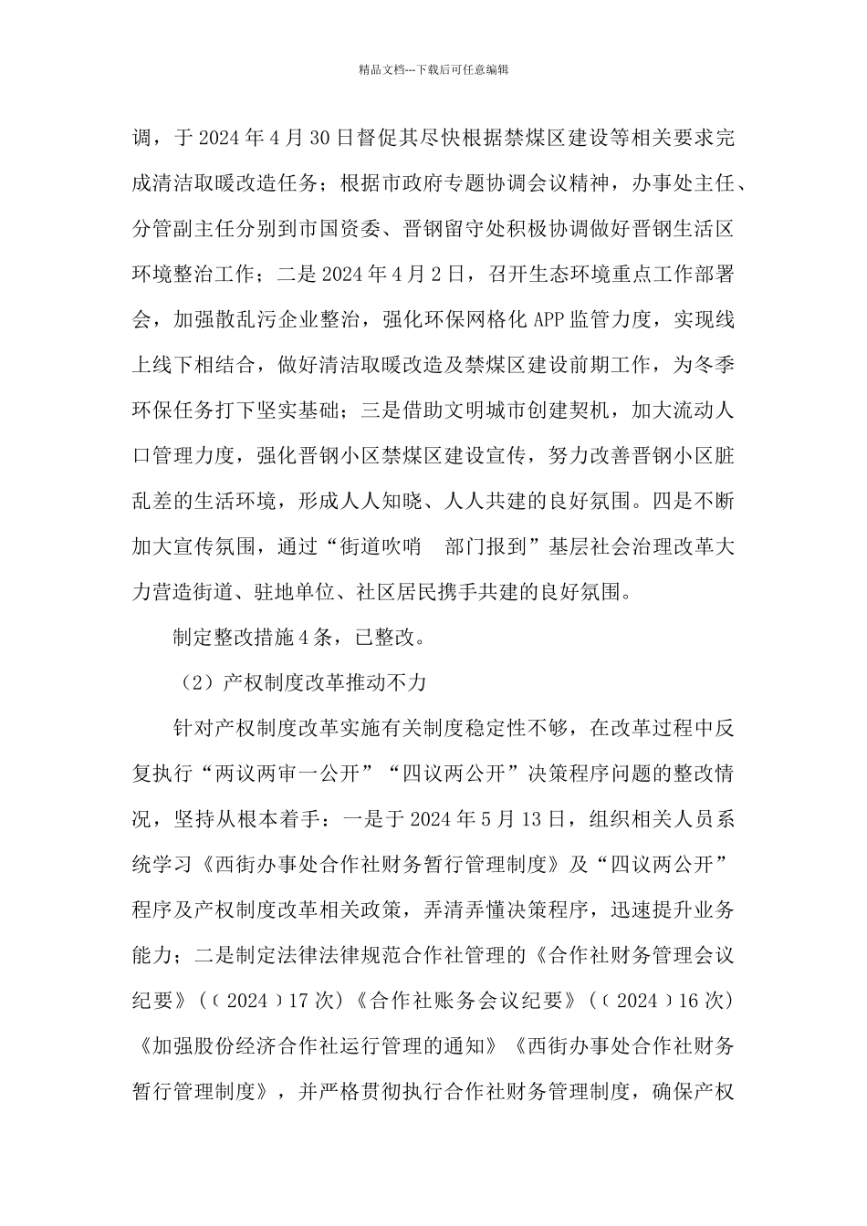 2024年巡察反馈意见整改方案_第3页