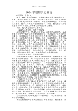 2024年巡察表态发言