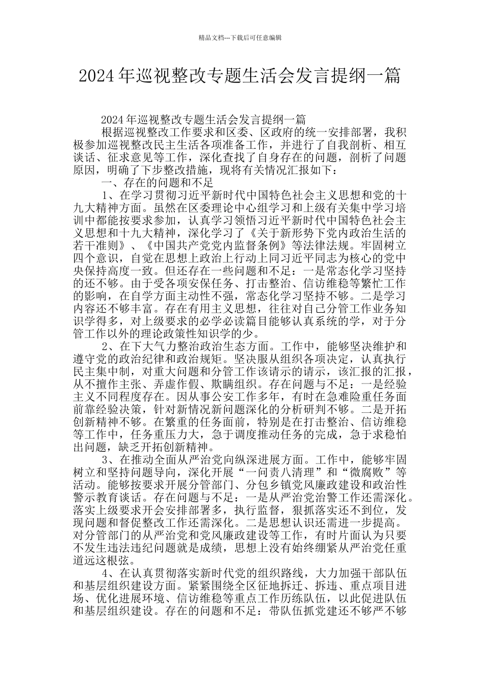 2024年巡视整改专题生活会发言提纲一篇_第1页