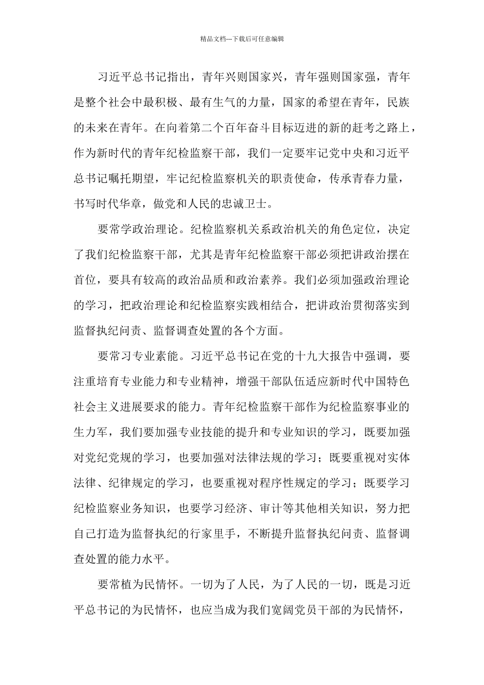 2024年市纪委监委优秀青年干部座谈会发言摘登8篇_第2页