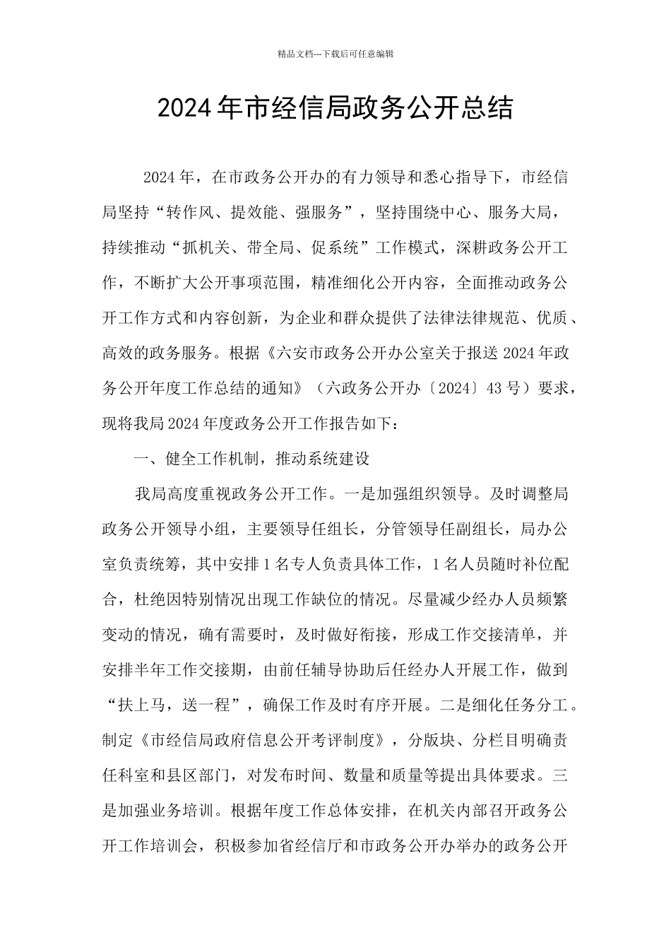 2024年市经信局政务公开总结_第1页