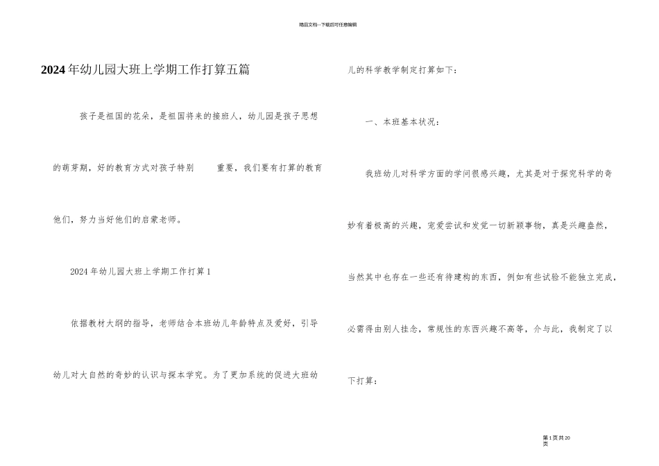 2024年幼儿园大班上学期工作计划五篇_第1页