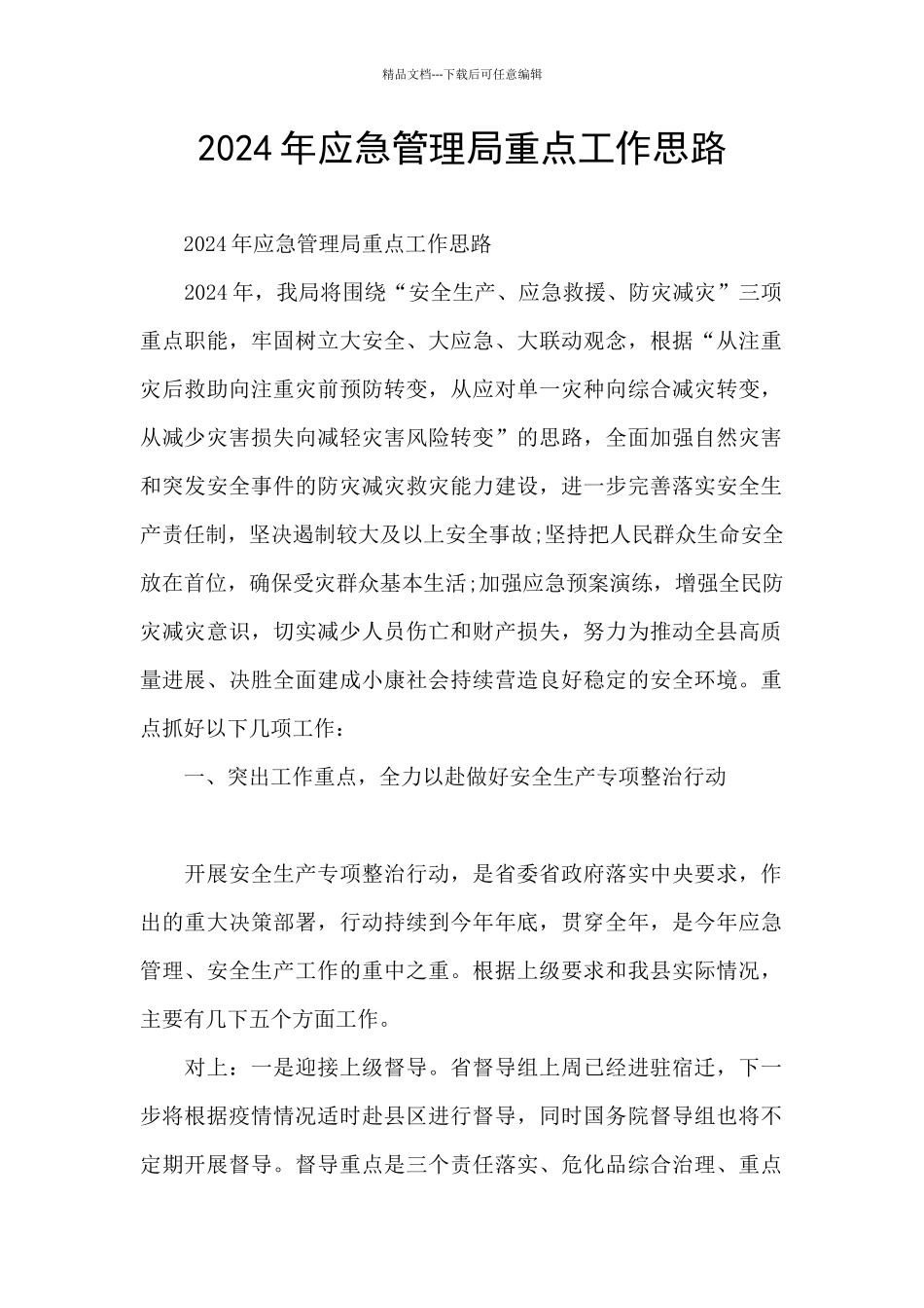 2024年应急管理局重点工作思路_第1页