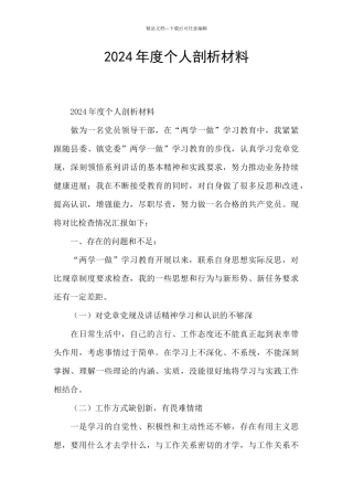 2024年度个人剖析材料